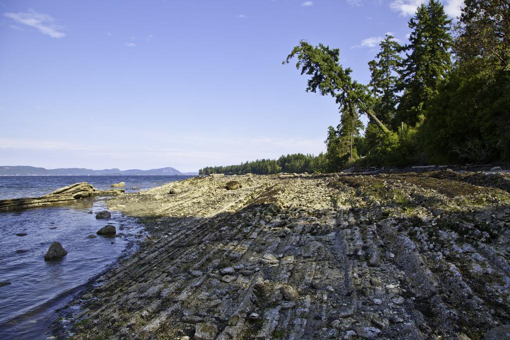 Mineral Springs Resort Saltspring Island 外观 照片