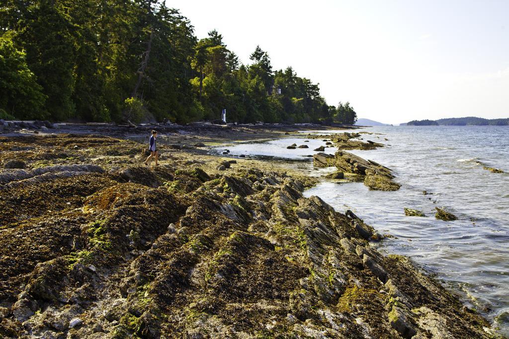 Mineral Springs Resort Saltspring Island 外观 照片