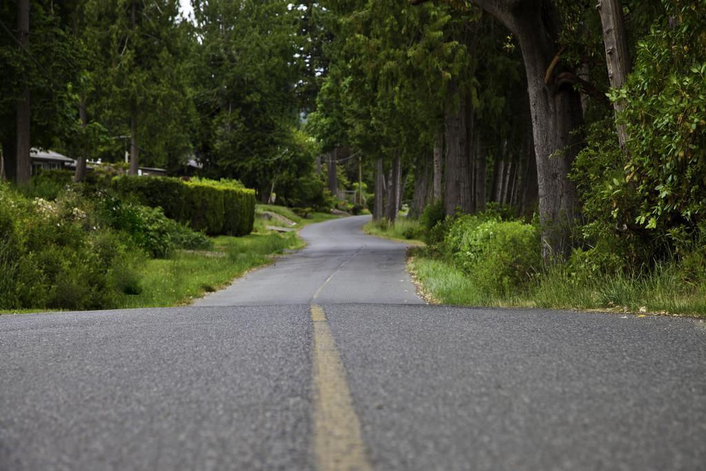 Mineral Springs Resort Saltspring Island 外观 照片